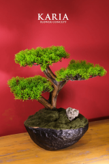 Yapay Bonsai Dekoratif